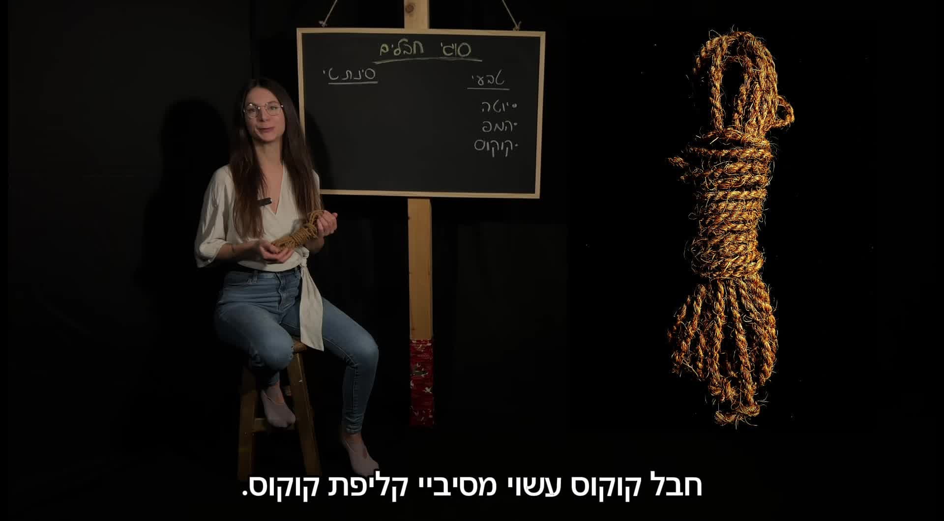 סוגי החבלים